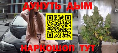 сатива Чебоксары