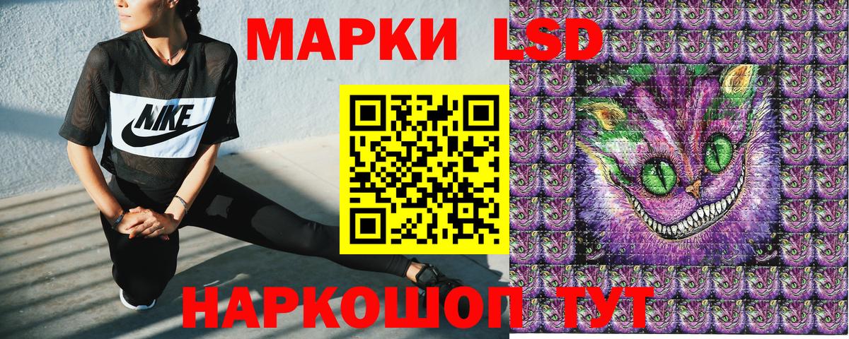 Марки 25I-NBOMe  Наркотические марки 1,5мг  Наркотические марки 1,5мг  Вход с VPN  Бийск 