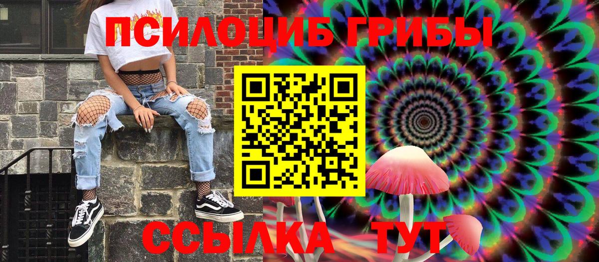 Бийск  Галлюциногенные грибы Psilocybe  Вход с VPN 